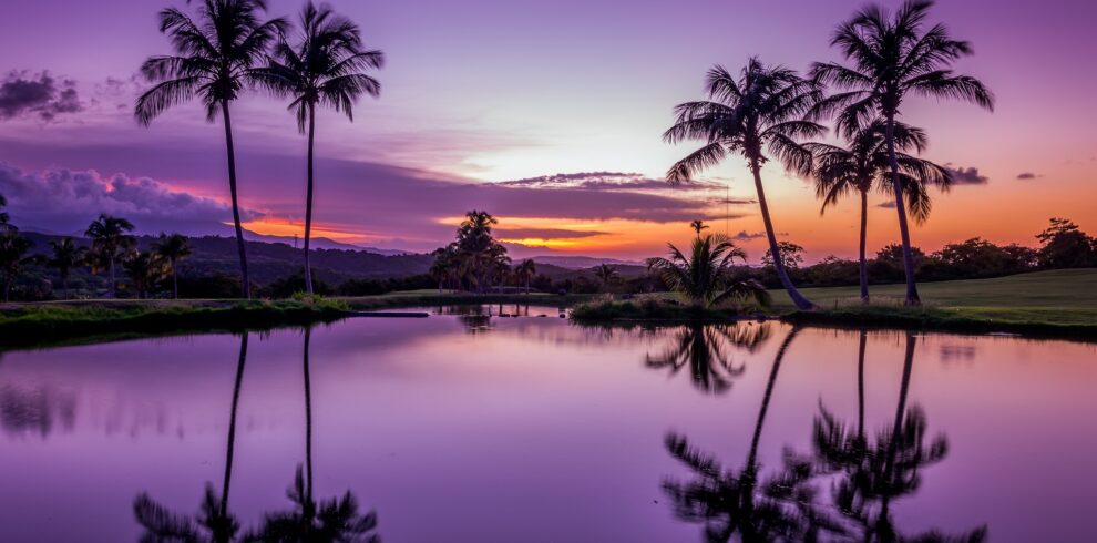 Atardecer con cielo púrpura reflejado en un lago con palmeras.