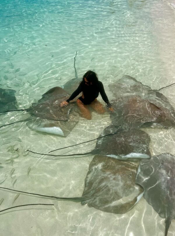 Mujer vestida de negro interactuando con varias mantarrayas en aguas cristalinas cerca de la orilla.