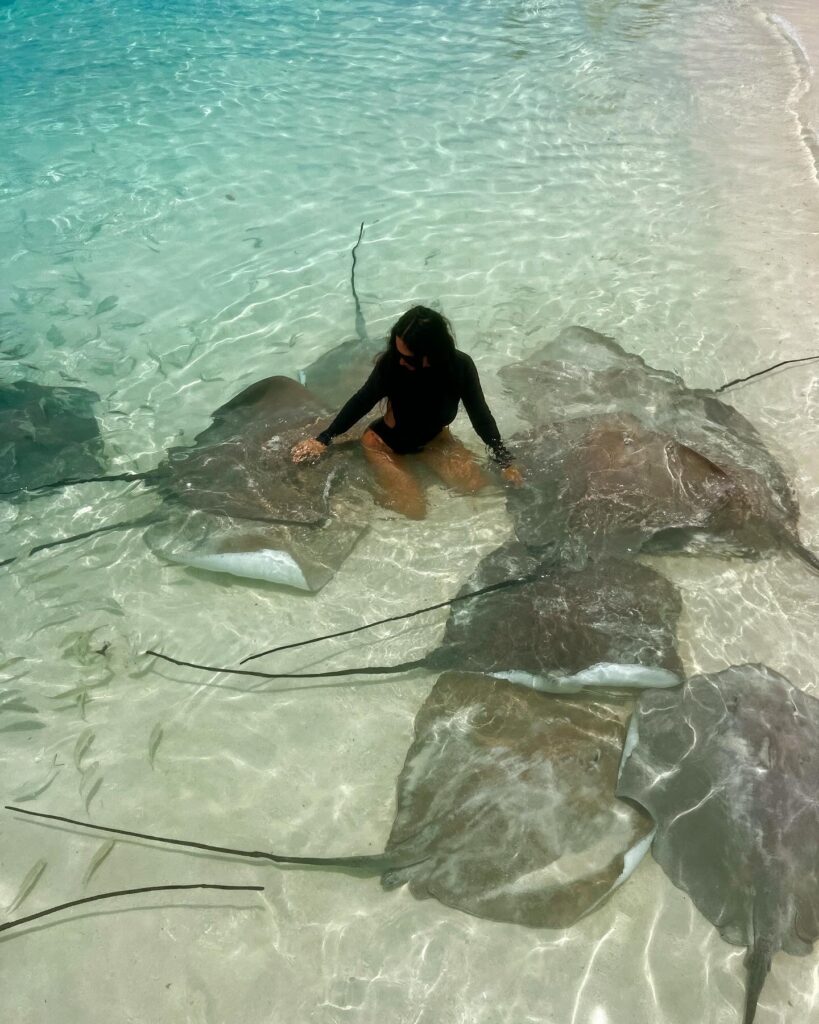 Mujer vestida de negro interactuando con varias mantarrayas en aguas cristalinas cerca de la orilla.