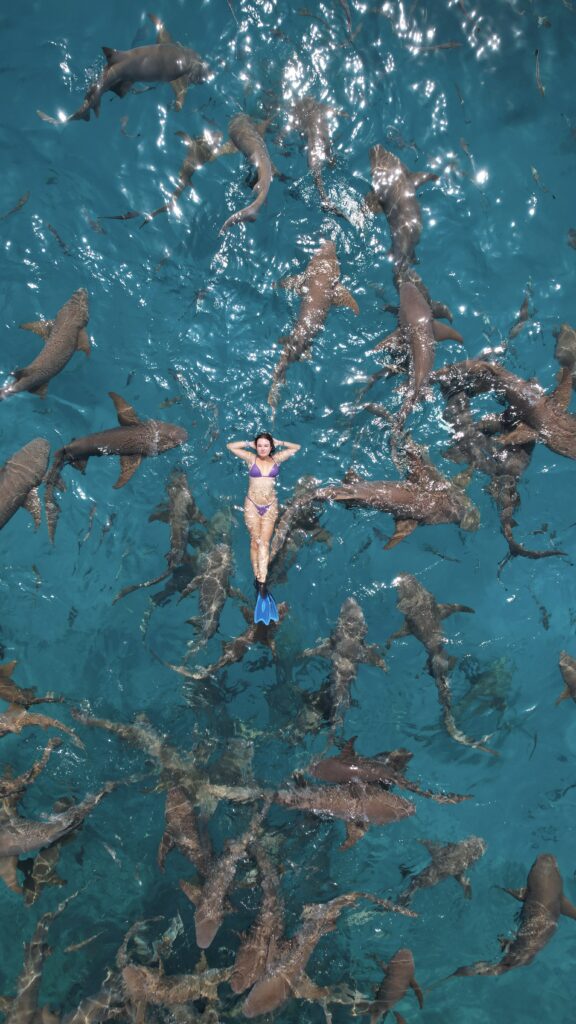 Mujer flotando tranquilamente en aguas cristalinas rodeada de varios tiburones nodriza.