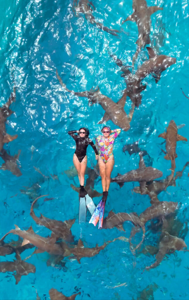 Dos mujeres flotando tranquilamente en aguas cristalinas rodeadas de tiburones nodriza
