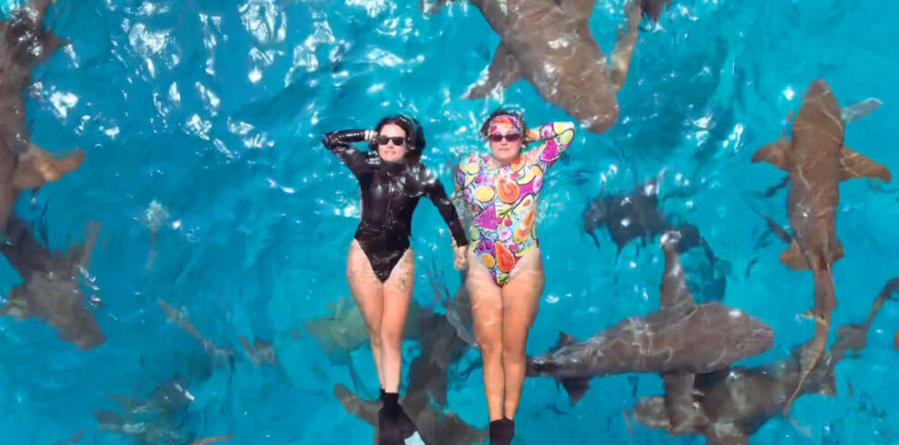 Dos mujeres flotando tranquilamente en aguas cristalinas rodeadas de tiburones nodriza