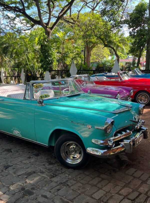 Automóviles clásicos descapotables de colores vibrantes estacionados en una calle adoquinada, rodeados de árboles frondosos.