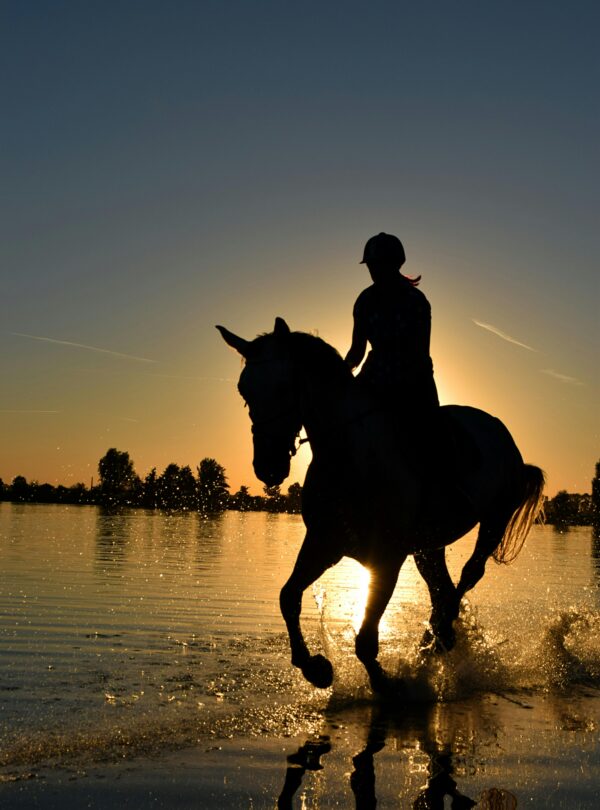 Silueta de una persona montando a caballo mientras cruza un río al atardecer, con el sol de fondo iluminando el agua.