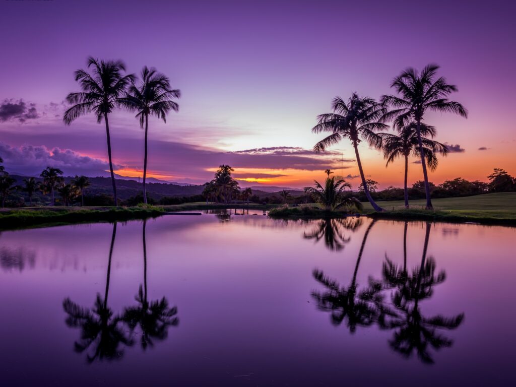 Atardecer con cielo púrpura reflejado en un lago con palmeras.