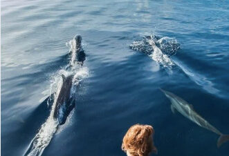 Mujer observando delfines nadar junto a una lancha en aguas cristalinas del océano bajo un cielo azul despejado.