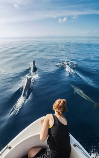 Mujer observando delfines nadar junto a una lancha en aguas cristalinas del océano bajo un cielo azul despejado.