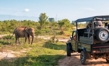 Elefante en la sabana observado desde un vehículo de safari con turistas en un parque natural.