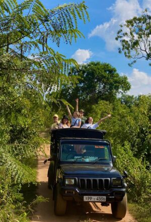 Tren de Sri Lanka: Un Viaje Mágico por el Corazón de la Isla con Travelhood