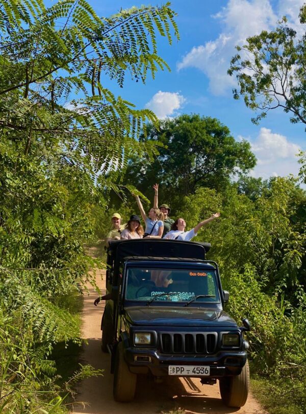 Grupo de personas sonrientes viajando en un jeep por un camino de tierra rodeado de vegetación tropical bajo un cielo azul.