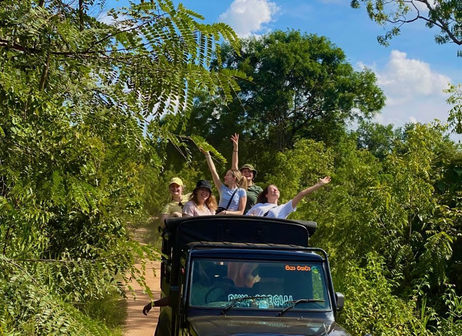 Grupo de personas sonrientes viajando en un jeep por un camino de tierra rodeado de vegetación tropical bajo un cielo azul.