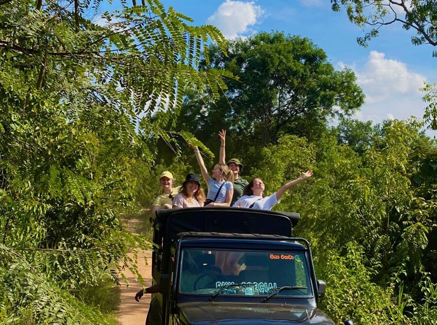 Tren de Sri Lanka: Un Viaje Mágico por el Corazón de la Isla con Travelhood