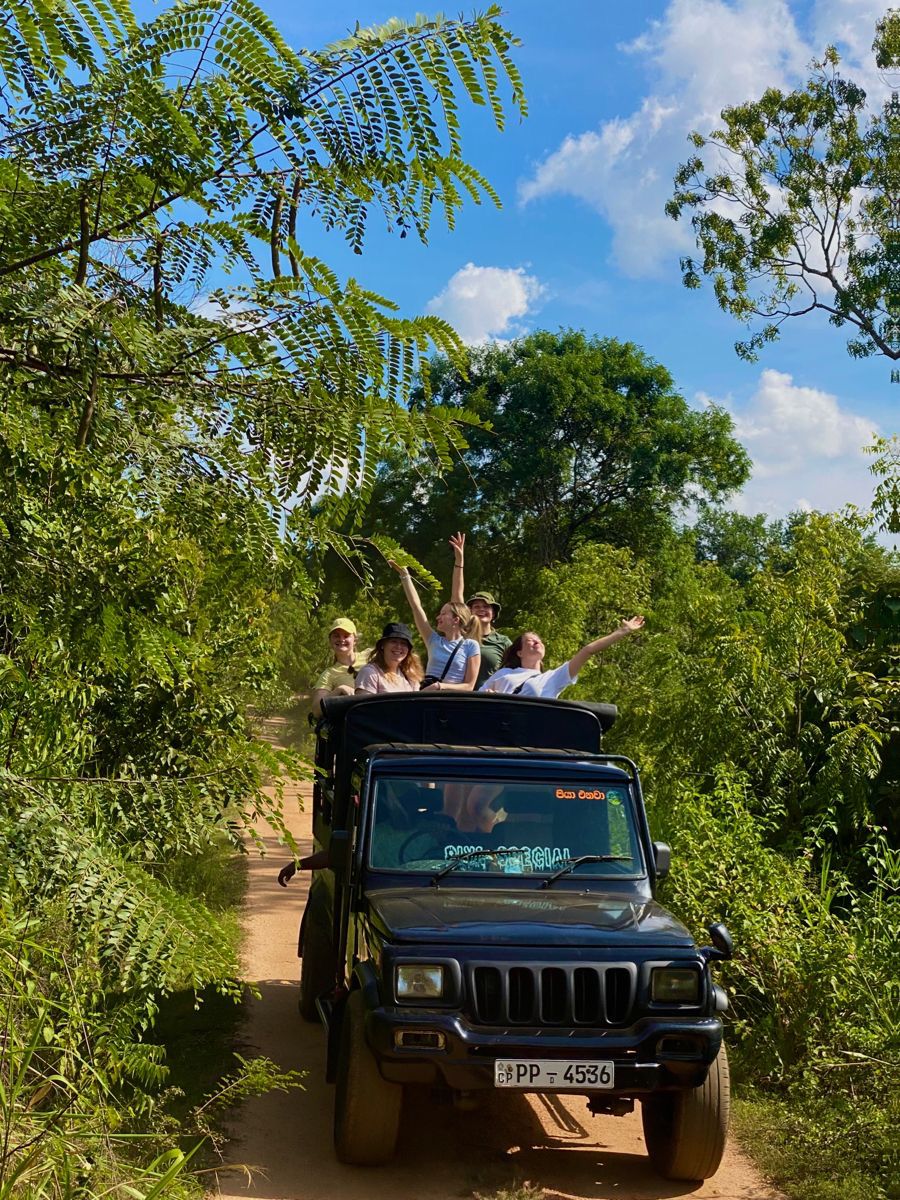 Grupo de personas sonrientes viajando en un jeep por un camino de tierra rodeado de vegetación tropical bajo un cielo azul.