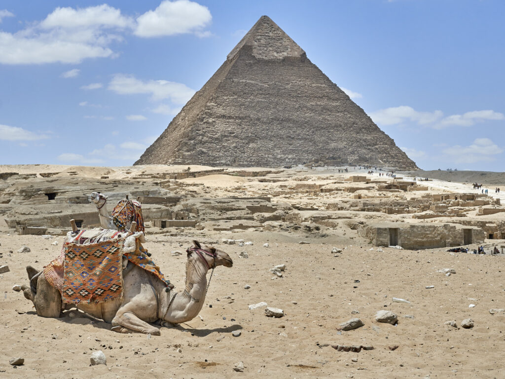 Camello descansando frente a la Gran Pirámide de Guiza en Egipto, con turistas al fondo.