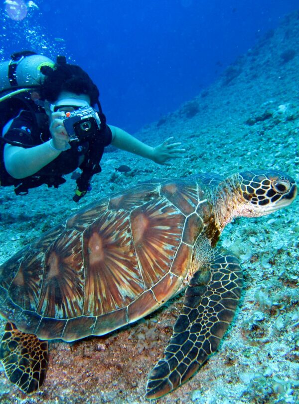 Buceador tomando una fotografía submarina a una tortuga marina sobre el lecho oceánico.