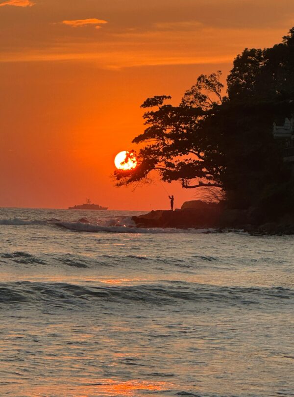 Atardecer en la playa con el sol ocultándose detrás de un árbol y una silueta humana sobre las rocas, con el mar en primer plano.
