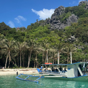 Barco turístico anclado en aguas turquesas frente a una playa tropical con palmeras y montaña rocosa al fondo.