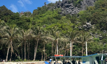 Barco turístico anclado en aguas turquesas frente a una playa tropical con palmeras y montaña rocosa al fondo.
