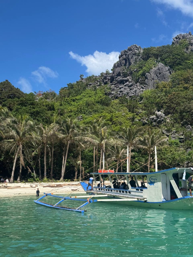 Barco turístico anclado en aguas turquesas frente a una playa tropical con palmeras y montaña rocosa al fondo.