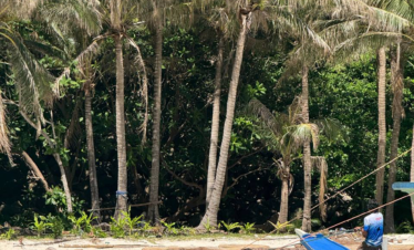 Hombre junto a un barco tradicional en aguas turquesas frente a una playa con palmeras y vegetación tropical.
