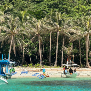 Embarcaciones tradicionales en aguas turquesas frente a una playa tropical con altas palmeras y vegetación frondosa.
