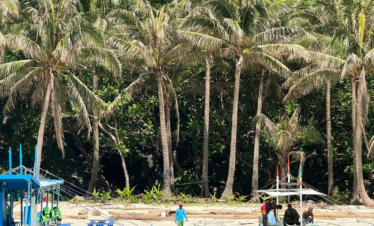 Embarcaciones tradicionales en aguas turquesas frente a una playa tropical con altas palmeras y vegetación frondosa.