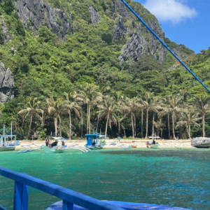 Embarcaciones tradicionales frente a una playa tropical con palmeras y acantilado rocoso cubierto de vegetación.