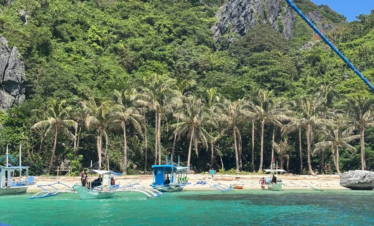 Embarcaciones tradicionales frente a una playa tropical con palmeras y acantilado rocoso cubierto de vegetación.