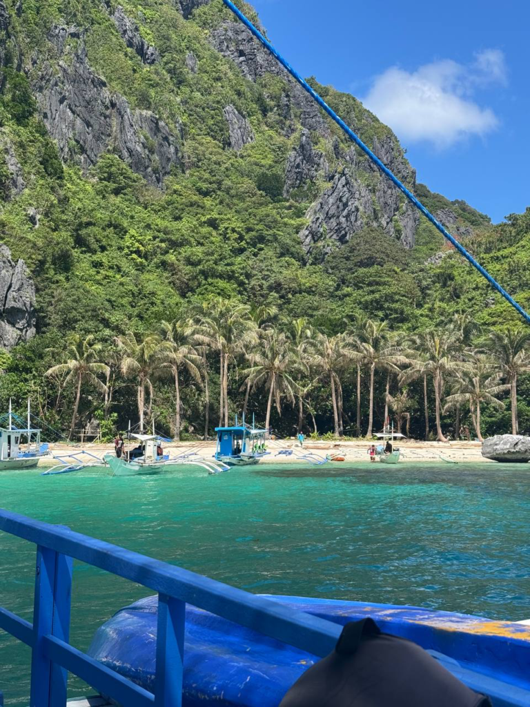 Embarcaciones tradicionales frente a una playa tropical con palmeras y acantilado rocoso cubierto de vegetación.
