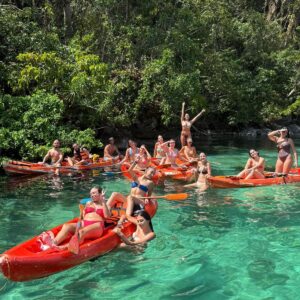 WhatsApp Image 2025-12-17 at 18.51.48 (1)